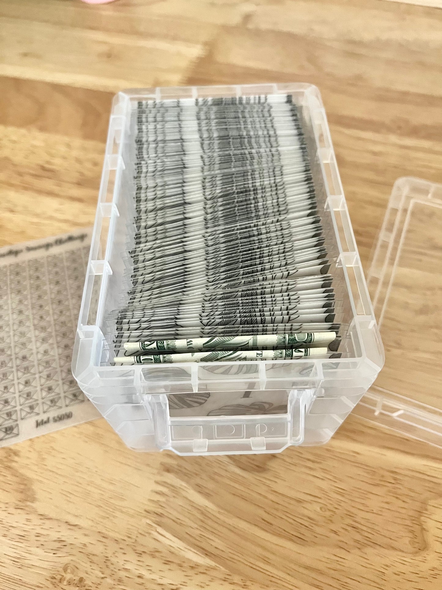 100 Envelope Savings Challenge | Savings Challenge Box | Monstera Savings Challenge