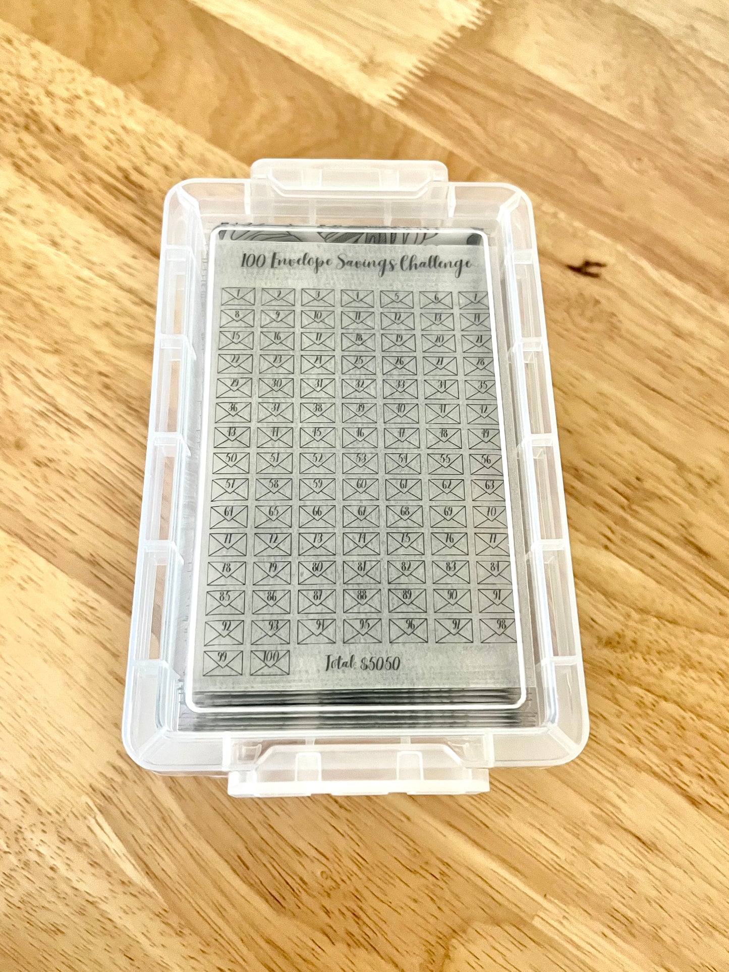 100 Envelope Savings Challenge | Savings Challenge Box | Monstera Savings Challenge